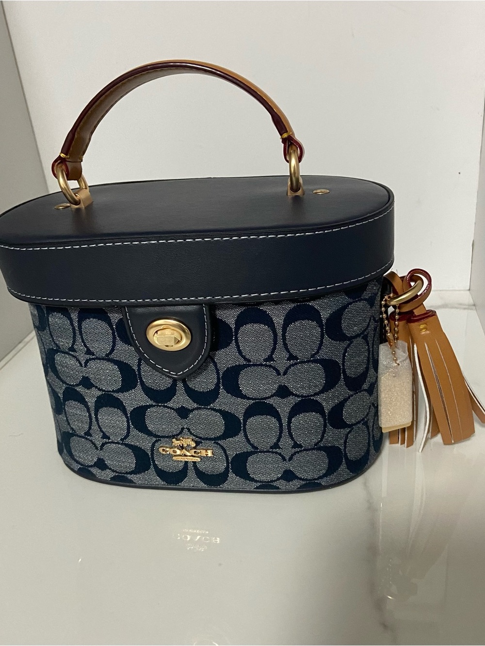 Coach Signature Canvas Navy and Tan Vanity Case